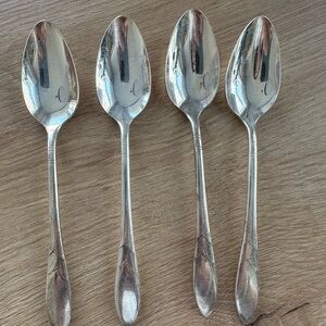Community Tea spoon Set